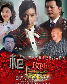 千面女谍在线观看,揭秘神秘情报战背后的传奇人生